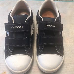 Boy Geox shoe.